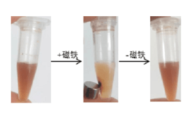 磁性高分子微球粒徑和Zeta電位測試